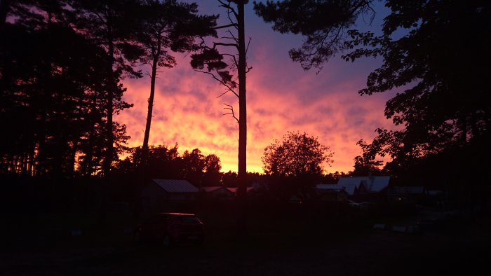 Solnedgång i Åhus med intensivt rosa och orange himmel bakom silhuetter av träd och byggnader.