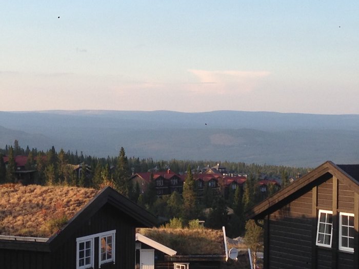 Vy över fjällandskap med träd och stugor i förgrunden under en tidig kväll.