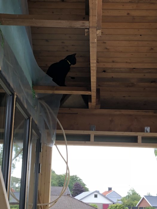 Svart katt sittande på en träkonstruktion inomhus med utsikt mot hus och träd.