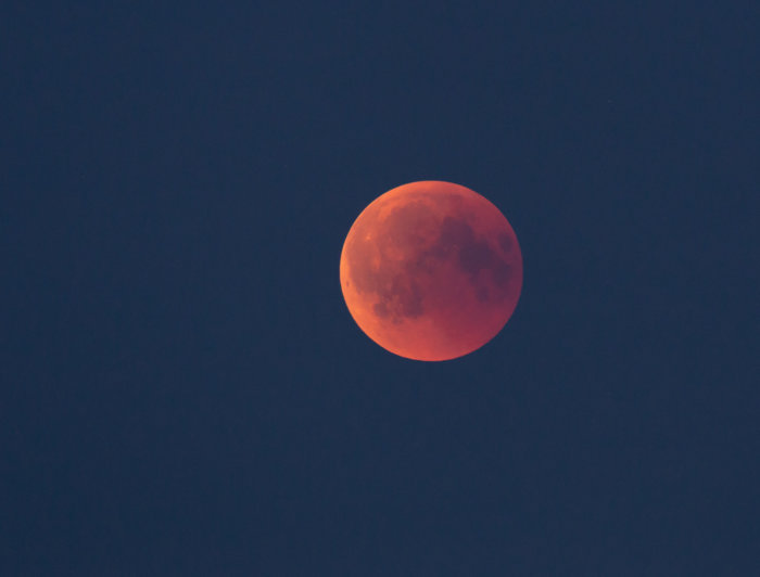 Blodmåne synlig mot en mörk himmel, trolig bild från en månförmörkelse med rödaktiga nyanser.