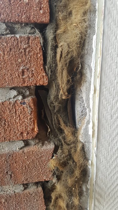 Närbild på tegelvägg med borttagna tegelstenar och isoleringsmaterial synligt vid renovering.