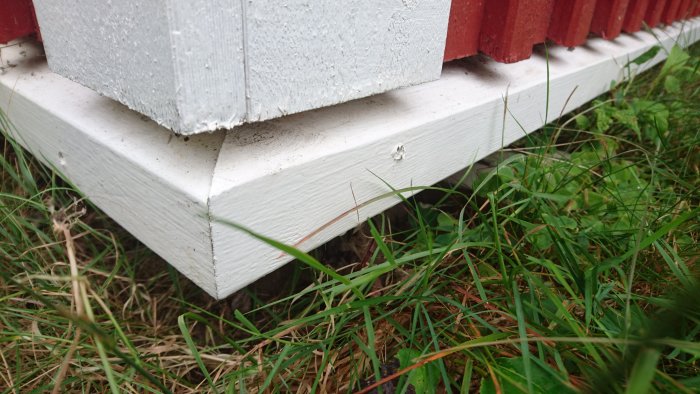 Närbild av snedsågad panel och vitmålad offerbräda vid husgrund med gräs i förgrunden.