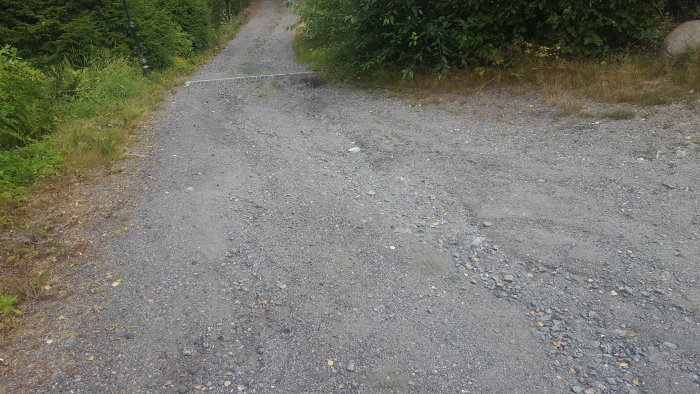 Grusväg med spår av erosion och löv, behov av asfaltering för att förhindra nedsättning vid regn.