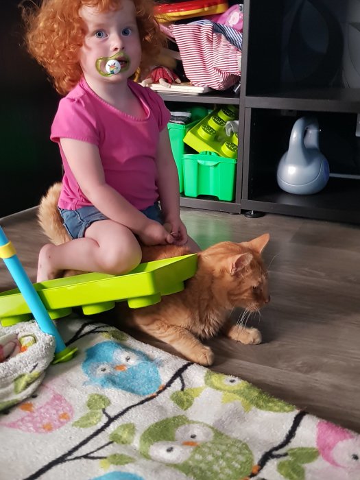 Flicka med napp sitter på leksakspanna placerad på tålmodig orange katt på ett golv.