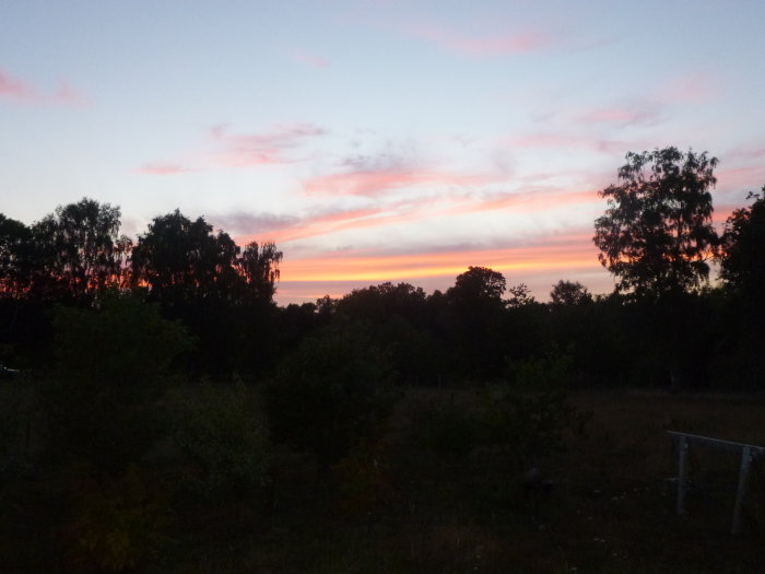 Aftonljus med rosa molnstrimmor över en silhuett av träd i skymningen.