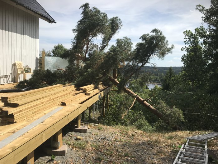 Obyggt däck med korsade träplankor nära ett vitmålat hus, ett omkullvräkt träd över altan och en sönderslagen glasruta.