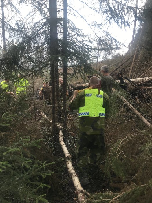 Person i reflexväst och kamouflagebyxor arbetar i skogen med andra individer i bakgrunden.