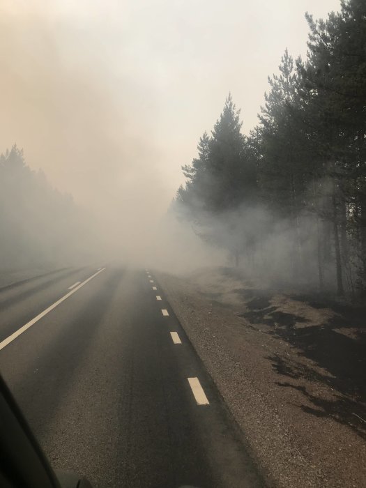 Rökfylld väg i skogsområde efter släckningsarbete av skogsbrand i Färila/Ljusdal.