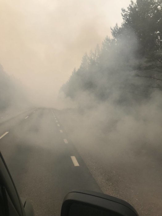 Rökfylld väg omgiven av träd under skogsbrand i Färila/Ljusdal sett från ett fordon.