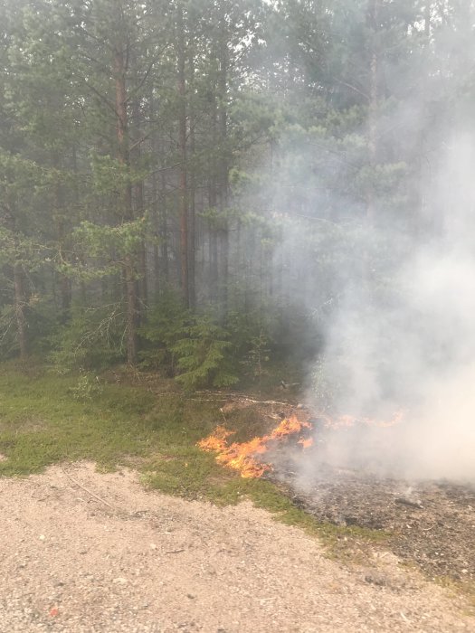 En skogsbrand i Färila/Ljusdal med lågor och rök nära skogsbrynet.