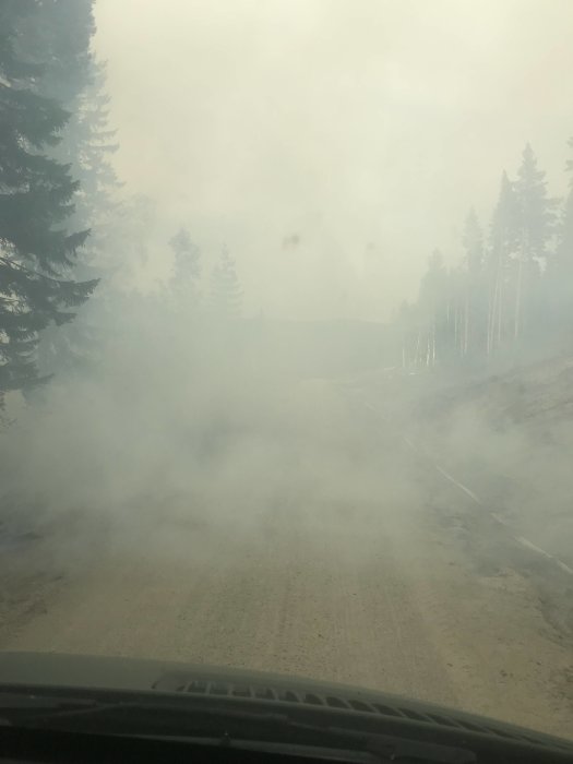 Vy från bilens perspektiv på en skogsväg i dimma från skogsbrand i Färila/Ljusdal.