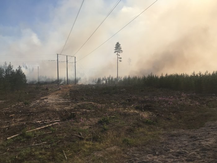 Skogsområde med rök och avverkat trädlandskap under skogsbrandsbekämpning nära Färila/Ljusdal.