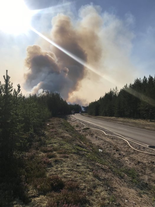 Rökpelare från en skogsbrand nära en väg i Färila/Ljusdal, med solstrålar som tränger igenom.