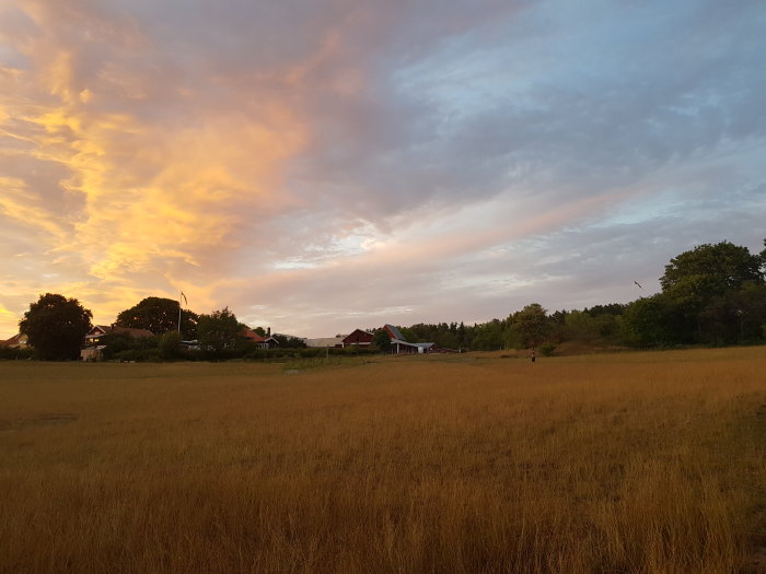 Solnedgång över ett fält med dramatisk himmel och silhuetter av byggnader i bakgrunden.