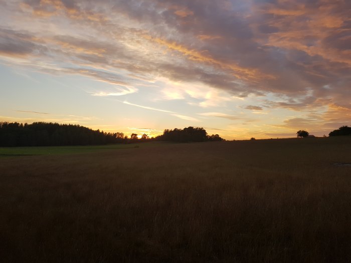 Solnedgång över ett öppet fält med dramatisk himmel, inga får synliga.