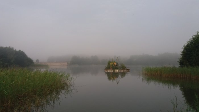 Dimmig morgon vid en stilla sjö med grönska och en träflotte, omgiven av mjuk dimma.