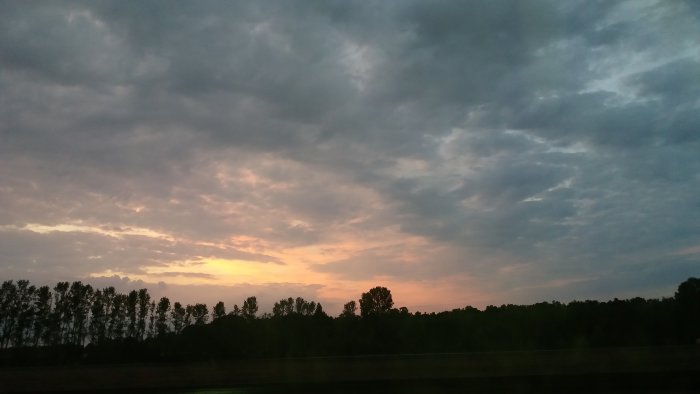 Soluppgång med rosa toner över ett trädbevuxet landskap mot en blågrå molnhimmel.
