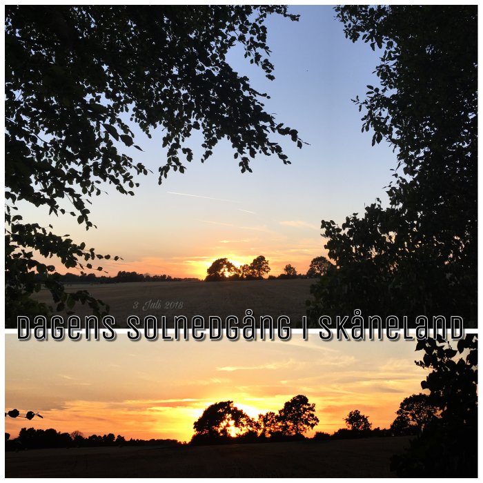 Solnedgång med trädens silhuetter mot en färgrik himmel i Skåne, text "Dagens solnedgång i Skåneland".