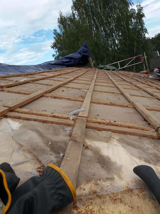 Tak under konstruktion med plywood, skyddande plast, dubbla ströläkt och masonitskarvar.