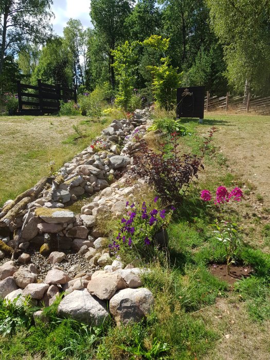 En anlagd bäck med stenar och ett litet vattenfall i en trädgård, omgiven av gröna växter och blommor.