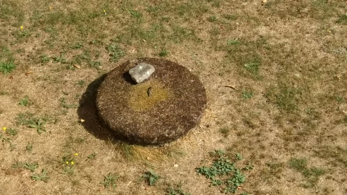 Rund brunnslock av betong på gräsmark med en sten ovanpå, indikerar möjlig placering av en borrad eller grävd brunn.