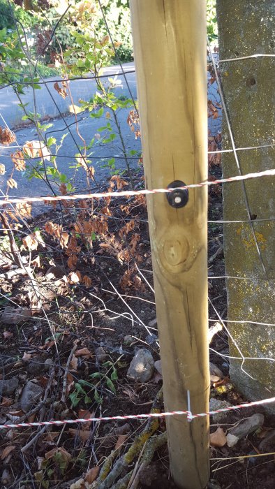 Stolpe med tillfälligt fäst lina runt en spik för att hindra hund från att gräva under stängslet.