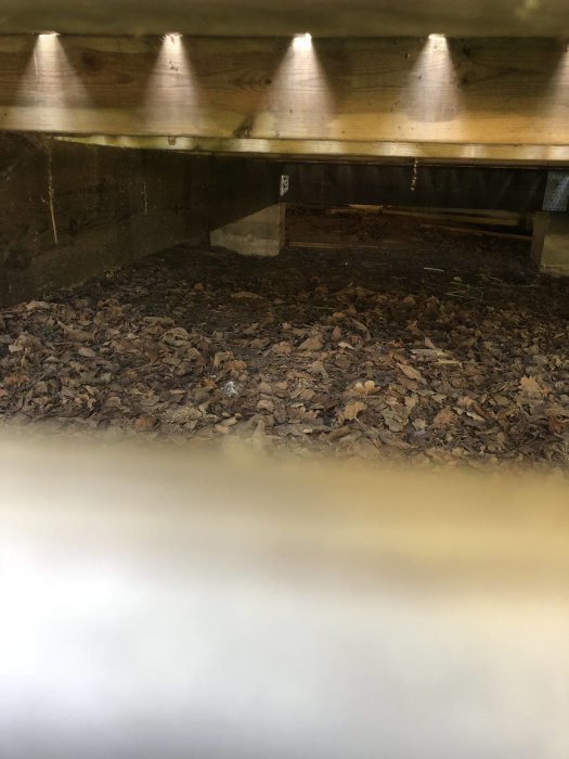Vy under hus, fotograferad genom spjälorna, visar plintar och löv på marken.
