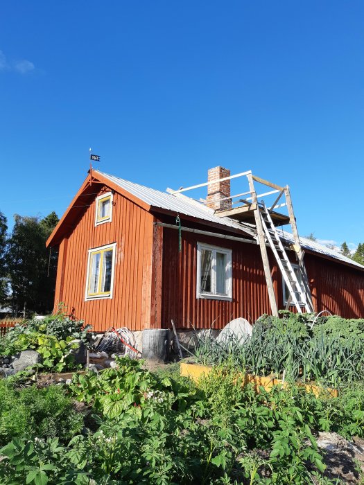 Renoveringsarbete på gång med stegar mot skorstenen på en röd bagarstuga omgiven av grönsaksland.