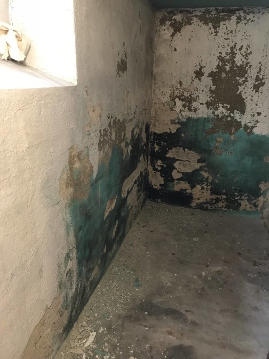 Hörn i källare med flagnande grön och beige färg på putsade väggar, skadad yta syns där oljetank stått.