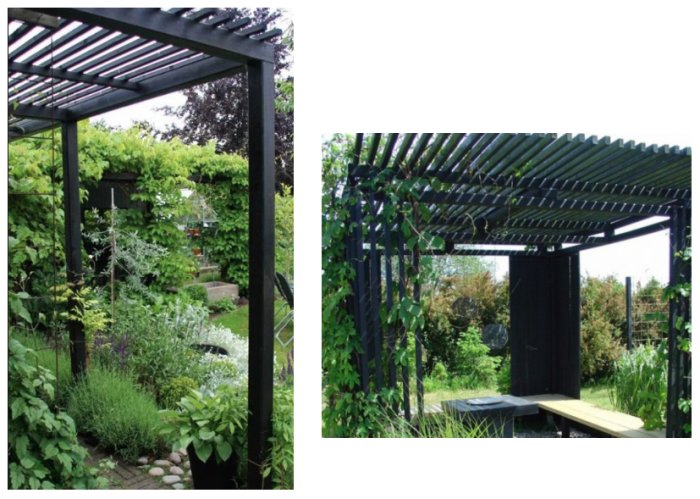 Svartmålad pergola med ribbtak i en trädgård, flankerad av grönska och bänk.