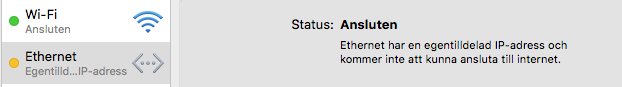 Skärmdump visar en nätverksanslutningsstatus där Wi-Fi är anslutet och Ethernet har en felaktig IP-adress.