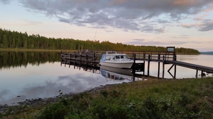 Båt förtöjd vid en träbrygga med skogen i bakgrunden vid solnedgång.