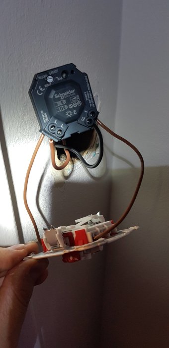 Bild 2.jpg