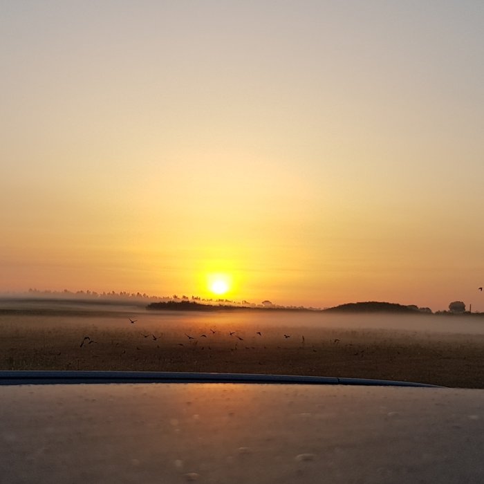 Soluppgång över ett disigt landskap med silhuett av fåglar i flykt.