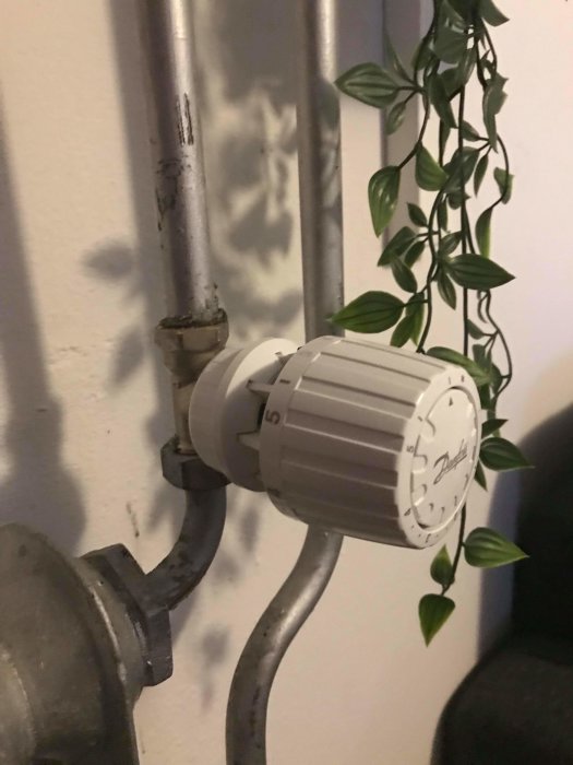 Termostat på radiator med närliggande grönt hängande växt mot vit vägg.