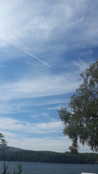 Flygplans kondensstrimmor på himlen över skog och sjö, Airbus A300 på hög höjd.