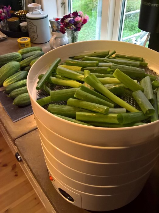 En torkapparat fylld med skivad piplök och några hela gurkor på ett köksbänk, med utsikt över trädgården.