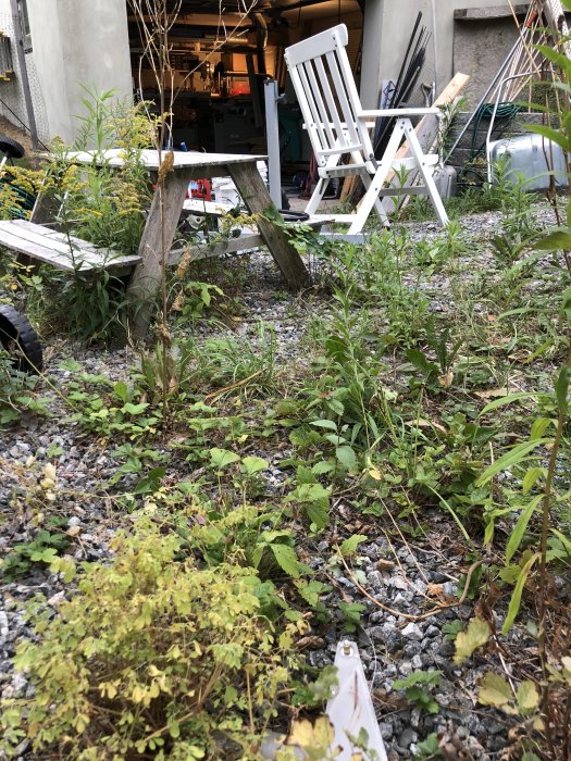 Trädgård med grus och grönska med ett avlägset garage i bakgrunden och en klingskyddsdetalj i förgrunden.