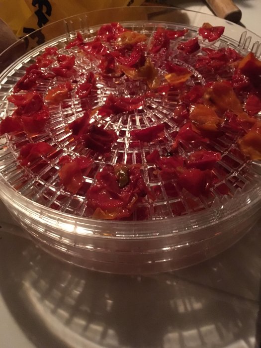 Torkade tomatskivor på en rund torkningsbricka för att göra krossade tomater och tomatkrydda.