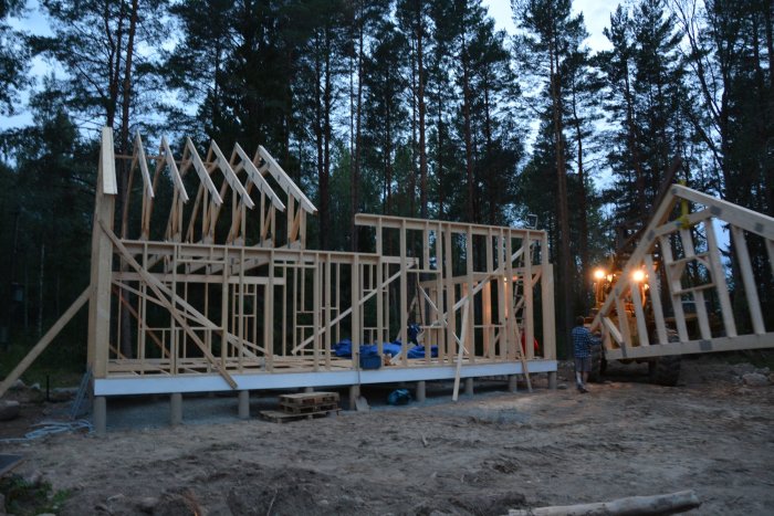 Halvfärdig trästomme för hus med takstolar delvis rest, i skymningen med skog i bakgrunden.