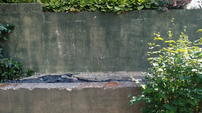 Gammal sutterängmur utan armering som håller på att ge vika, med vegetation ovanpå.