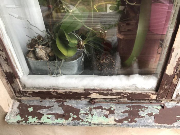 Slitet fönster med avflagande färg och växt i kruka på fönsterbrädan inomhus.
