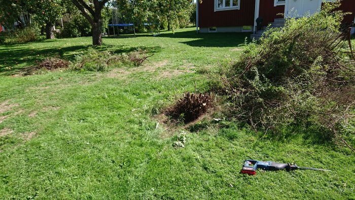 Trädgård med två nerkapade buskrötter och en tigersåg på gräset.