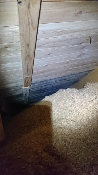 Mögel och fuktskador på råspont nära en vägg på en vind, synlig mörk missfärgning.
