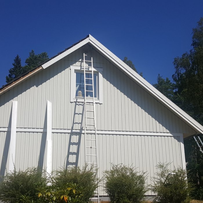 Gaveln på ett vitmålat hus med en stege uppställd mot vinden och blå himmel i bakgrunden.