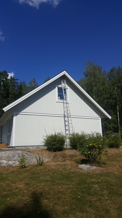 Nymålat hus med stege lutad mot fasaden i sommarlandskap.