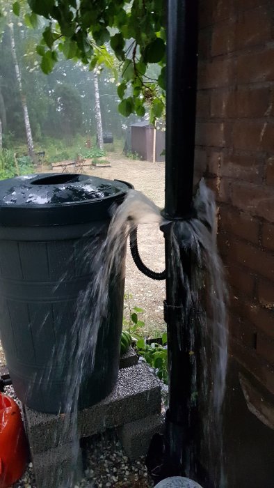 Regnvatten svämmar över från ett smalt stuprör och stänker på en regnvattentunna under ett skyfall.