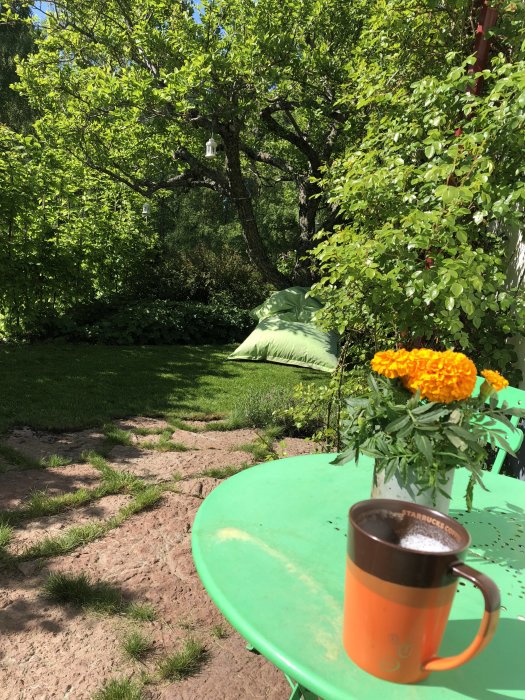 Trädgårdsmiljö med fruktträd och grönt gräs, plattgång, orange blomma på bord med kaffemugg.