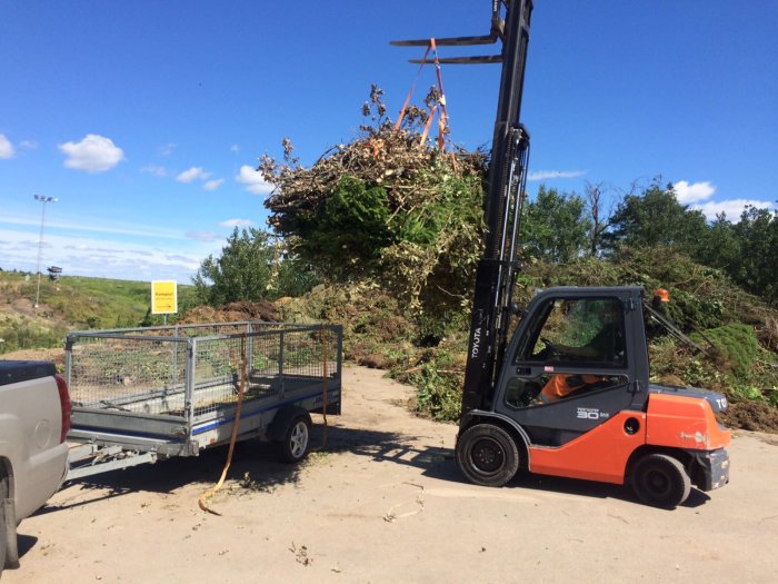 Gaffeltruck lyfter grenar och trädavfall på en återvinningsstation med blå himmel i bakgrunden.