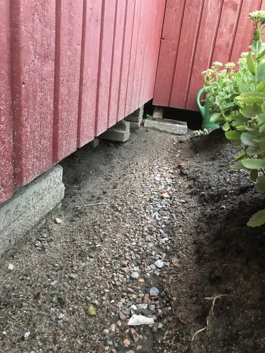 Ett rött trähus med synligt skadat trägolv och en svacka i marken där vatten kan ansamlas.